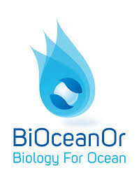 BiOceanOr